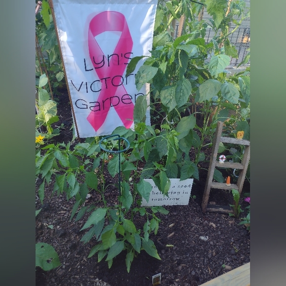 Meet your Posher, Lyn - Picture 8 of 10